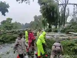 Hujan Angin di Bogor Menyebabkan Sejumlah Pohon Tumbang dan Tutup Jalan